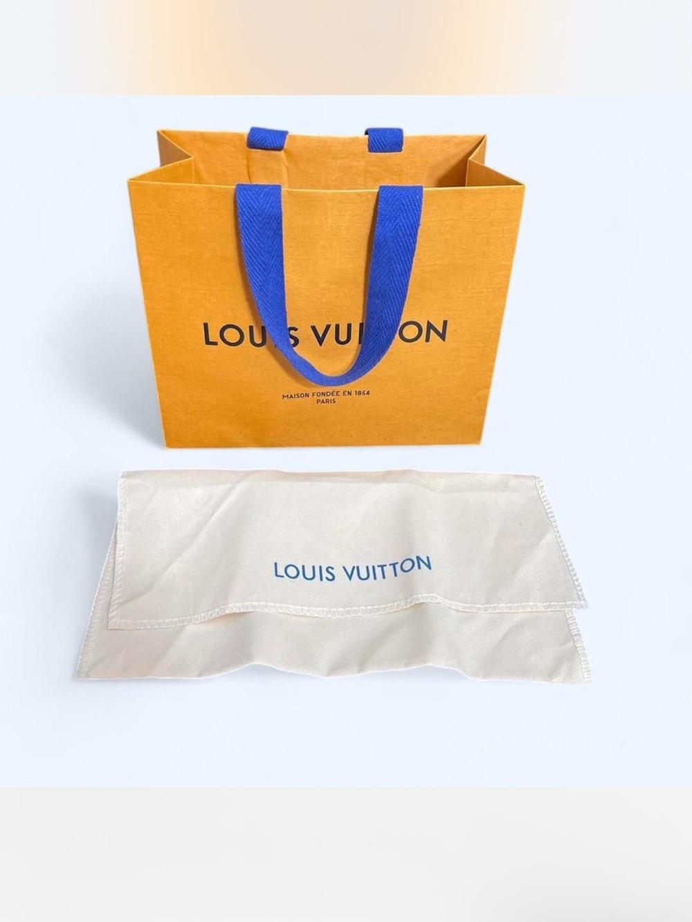Louis Vuitton Gift bag & wallet dust bag